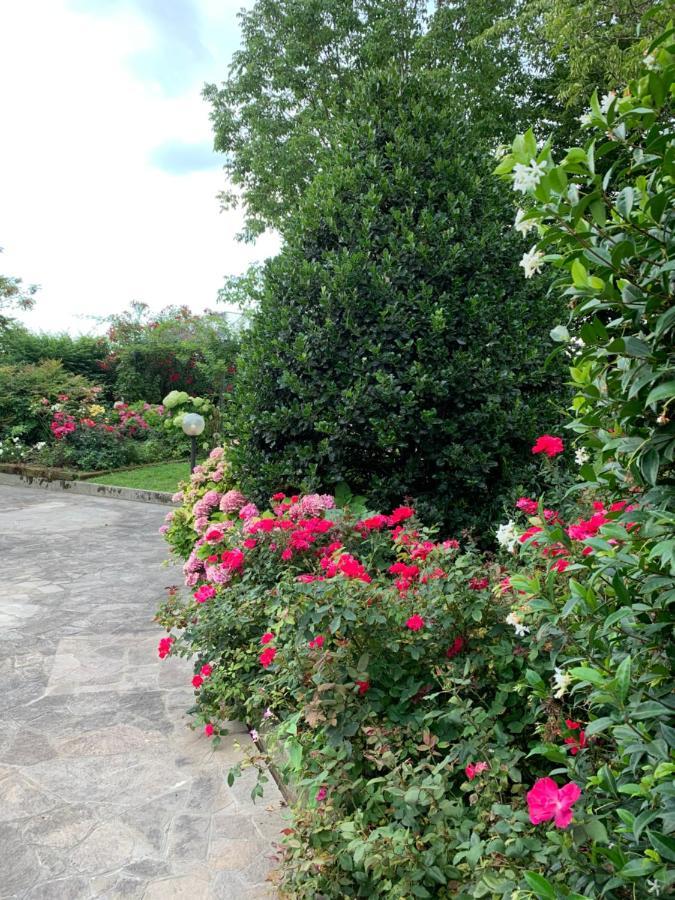 Casa Serenella B&B - Casa Vacanze Пьяццола-суль-Брента Экстерьер фото
