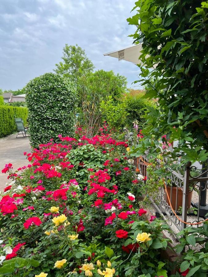 Casa Serenella B&B - Casa Vacanze Пьяццола-суль-Брента Экстерьер фото